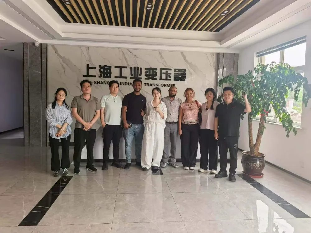 Добре дошли! Етиопска делегация посещава Shanghai Industrial Transformer Co., Ltd. за обмен на трансформатори и оборудване за разпределение на енергия